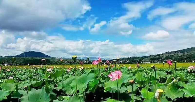 麗江研學(xué)旅行的定義及特點(diǎn)是什么？