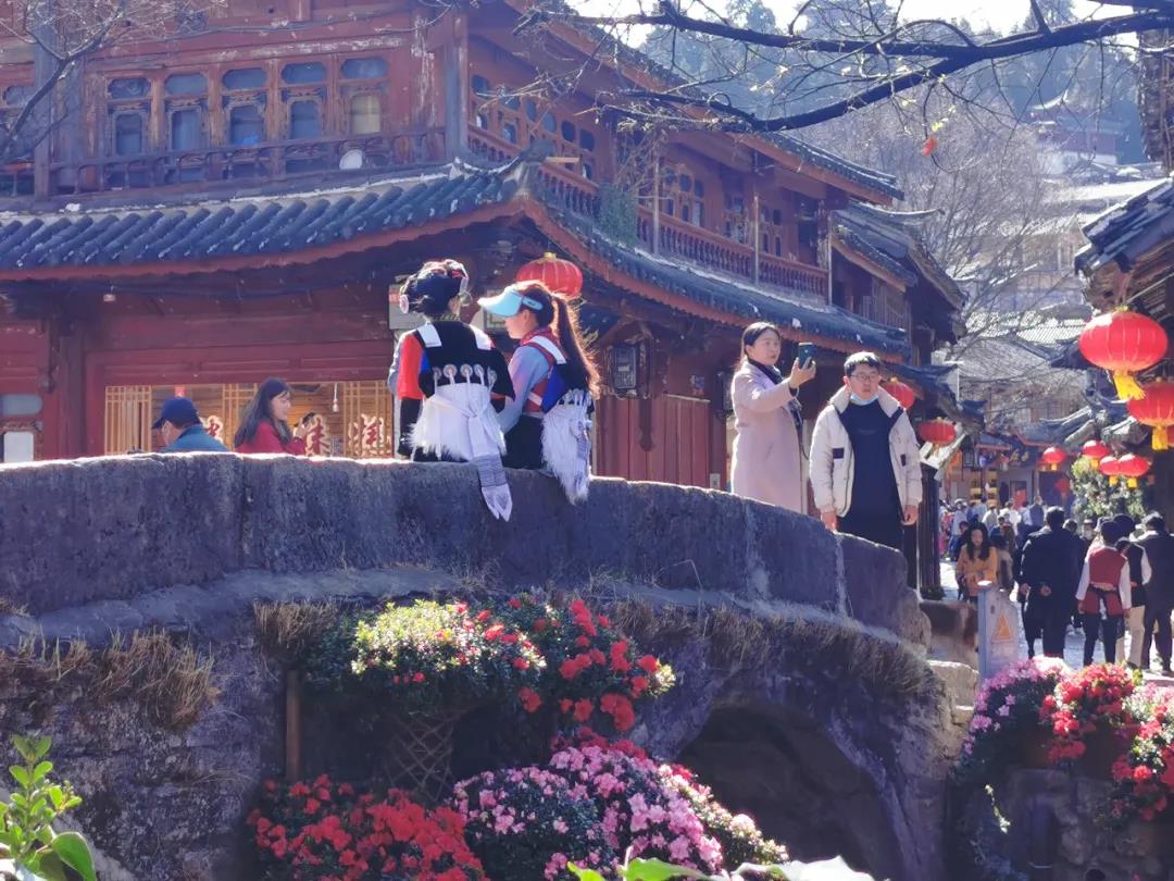 來麗江古城，感受花團錦簇、欣欣向榮