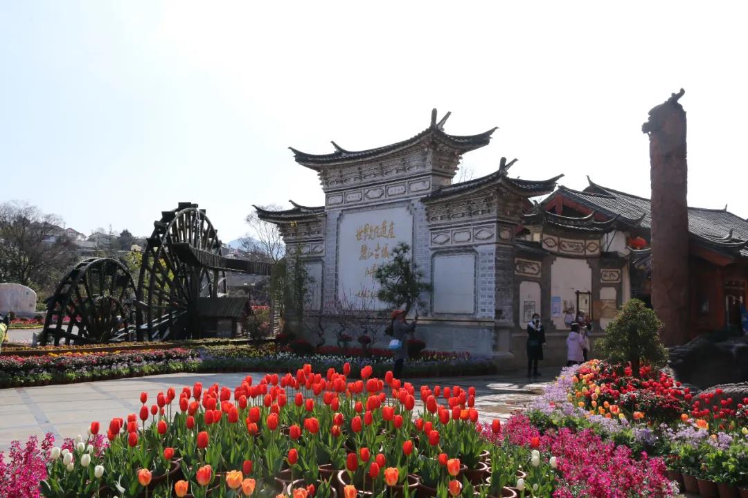 年味足、春意濃! 麗江古城春節(jié)假日旅游回暖