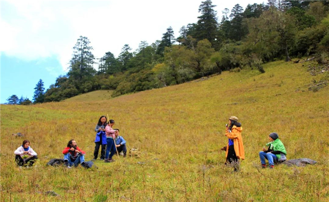 麗江春季旅游指南，每一處都能讓你朋友圈“炸鍋”！
