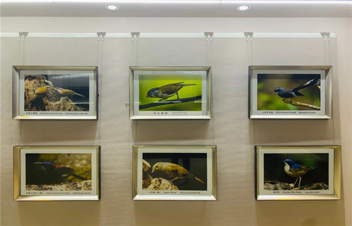 多維度展示滇西北生物多樣性！麗江這個中心值得一去