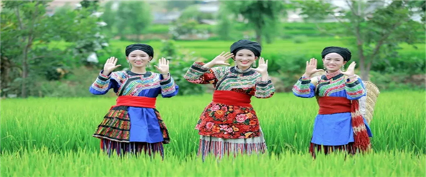 相約水鄉(xiāng)，邂逅激情！華坪縣新莊鄉(xiāng)首屆鄉(xiāng)村旅游節(jié)即將開幕